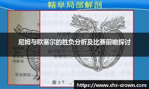 皇冠体育crown